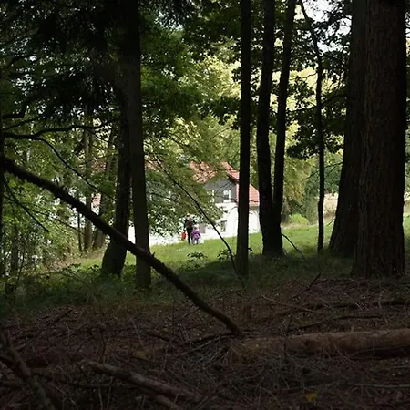 דירה Wald-apartment