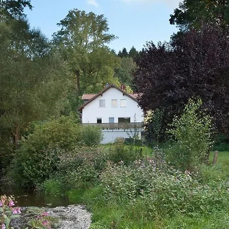 Wald-apartment דירה Limabach - Oberfrohna