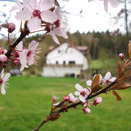 Wald-apartment Limabach - Oberfrohna