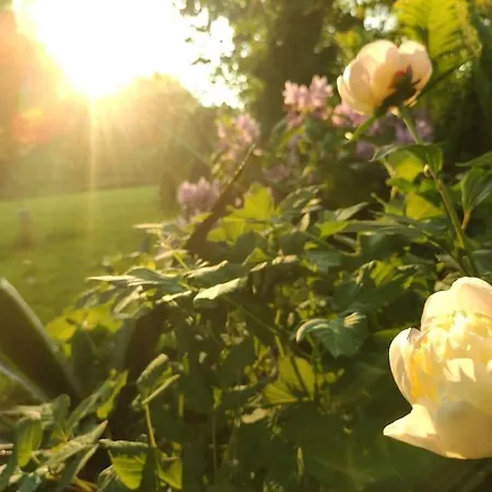 Wald-apartment شقة