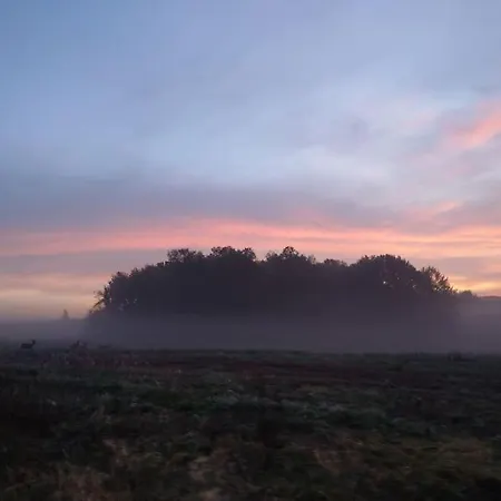 Wald-apartment شقة *