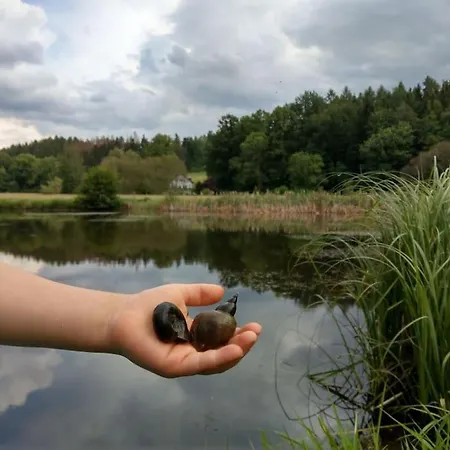 Wald-apartment Limabach - Oberfrohna