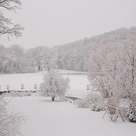 Wald-apartment شقة *