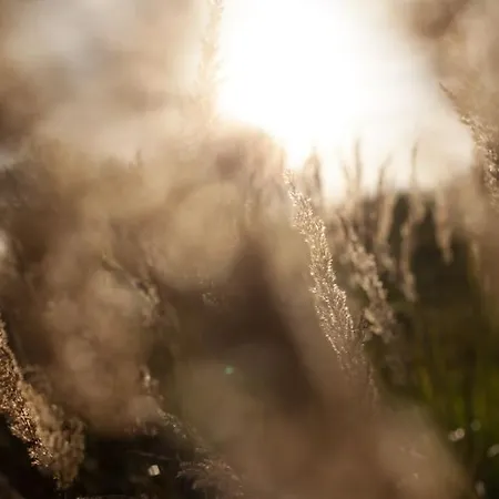 Wald-apartment شقة Limabach - Oberfrohna