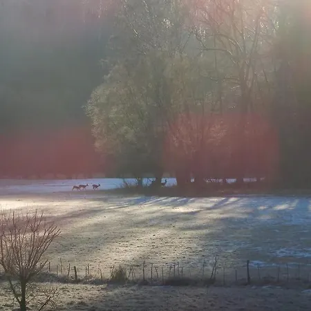 Wald-apartment * Limabach - Oberfrohna