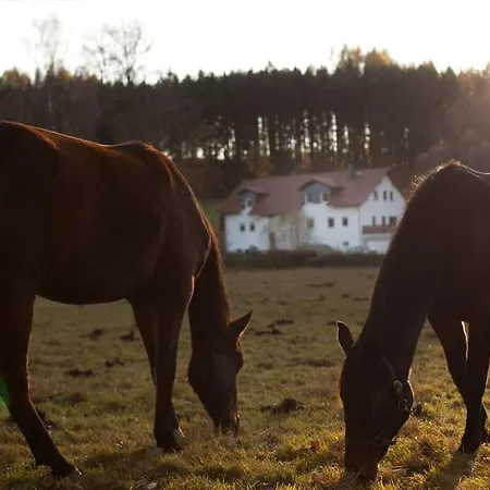 Wald-apartment Limabach - Oberfrohna