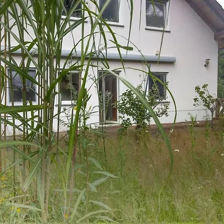 Wald-apartment Limbach-Oberfrohna