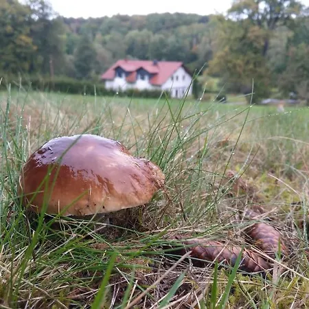 Wald-apartment شقة *