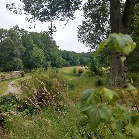 شقة Wald-apartment Limabach - Oberfrohna