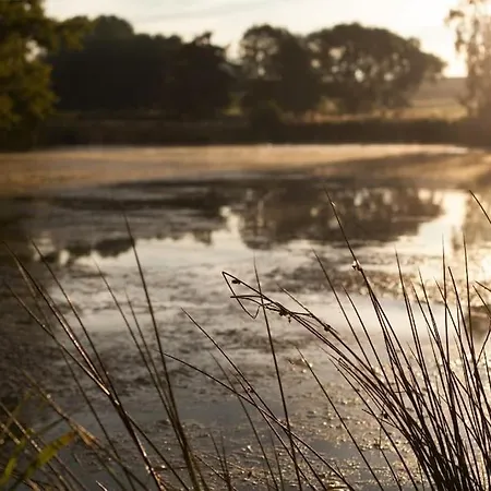 Wald-apartment Limabach - Oberfrohna