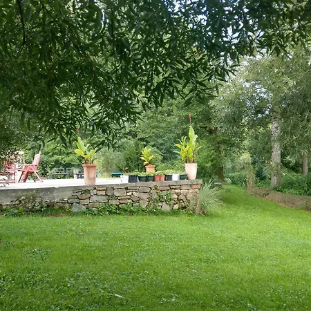 Wald-apartment