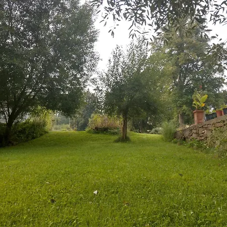 Wald-apartment