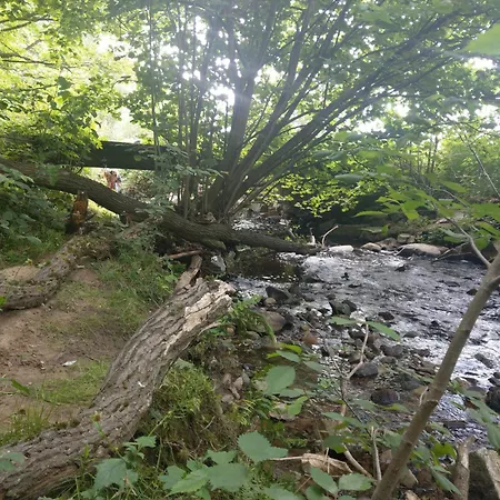 Wald-apartment شقة Limabach - Oberfrohna