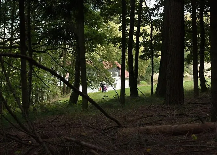 Apartment Wald-apartment