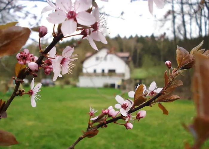 Wald-apartment Limbach-Oberfrohna