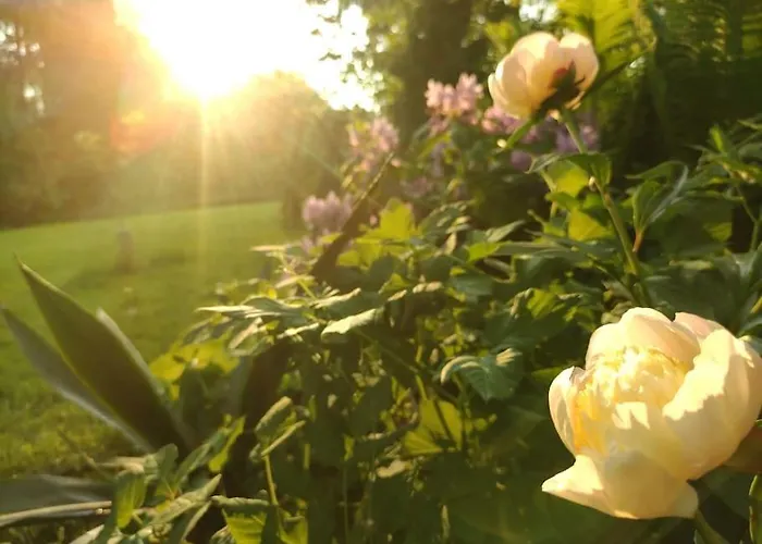 Wald-apartment Apartment