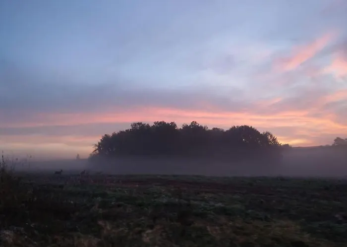 Wald-apartment Apartment *