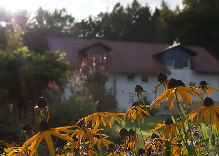 Wald-apartment * Limbach-Oberfrohna