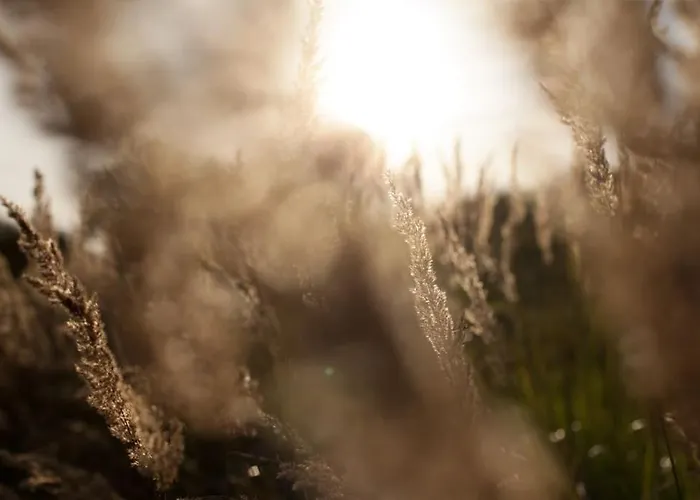 Wald-apartment דירה Limabach - Oberfrohna