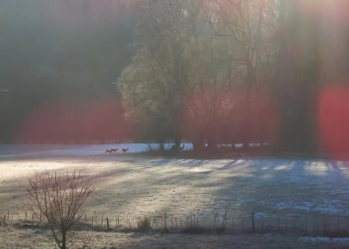 Wald-apartment * Limbach-Oberfrohna