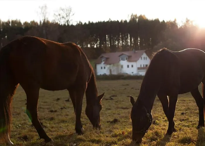 Wald-apartment Limbach-Oberfrohna