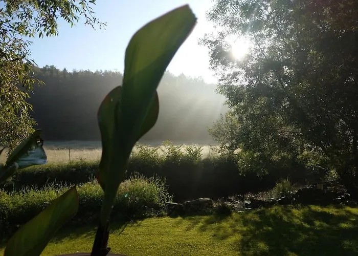 Apartment Wald-apartment *