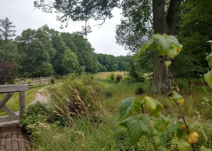 דירה Wald-apartment Limabach - Oberfrohna